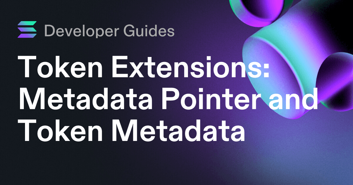 How to use the Metadata Pointer extension